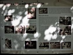 Tábor - Peksův mlýn 1.7.2017.jpg