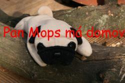 pan Mops