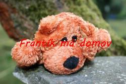 _Frantík.jpg