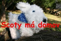 _Scoty.jpg