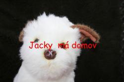 _Jacky.jpg
