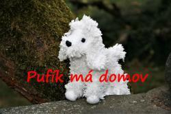 _Pufík.jpg