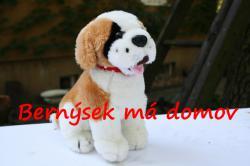 _Bernýsek.jpg