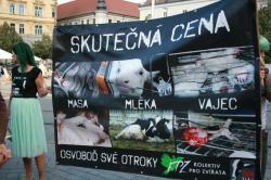 Demonstrace 8.9.2018 za práva zvířat Brno.jpg