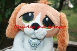 _Charlie.jpg