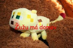 _Ocelot (Žužu).jpg