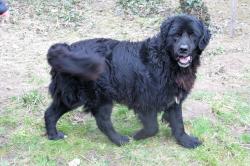 000a107_0543 (2).jpg