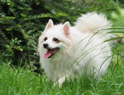 000 198807046_487794529158920_6331562941692282938_n.jpg