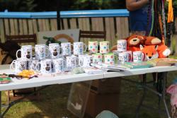 IMG_7441.jpg