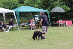 IMG_7467.jpg