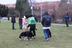 IMG_3229.JPG