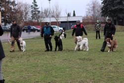 IMG_3286.JPG