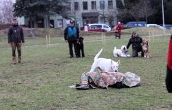IMG_3304.JPG