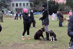 IMG_3316.JPG