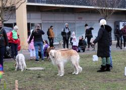 IMG_3320.JPG