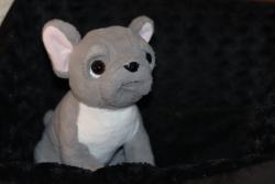 21645.jpg