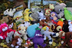 Děkuji moc slečně ze SuperZoo 💚 💛 🧡 listopad 2025