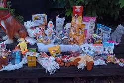 Děkuji dnešní návštěvě  💙 💚 prosinec 2025