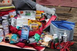 Děkujeme  💚 💛  ❤️září 2025