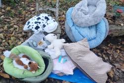 Děkuji paní Sovové ❤️ ❤️ ❤️listopad 2025