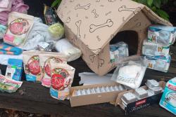 Děkujeme  holkám a jejich mamince ❤️🧡,