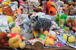 Děkujeme ZŠ Tišnov 28.října 🧡 🧡 🧡prosinec 2025