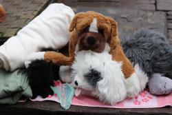 Děkujeme paní Marii z Prahy 🧡 🧡 🧡prosinec 2025