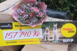 Děkujeme Hitradio Brno a SuperZoo Kamínkování ❤️❤️❤️listopad 2025