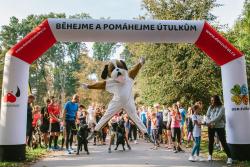 Děkujeme organizaci Běhejme pomáhejme útulkům   💚 💛 ❤️únor 2026