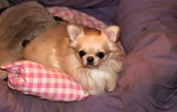 IMG_7319.JPG