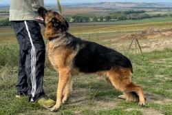 24822.jpg